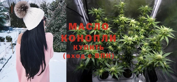 дживик Долгопрудный