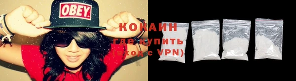 дживик Долгопрудный