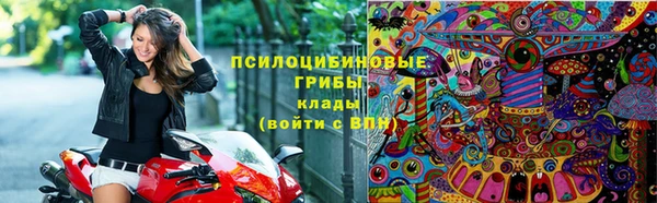 дживик Долгопрудный