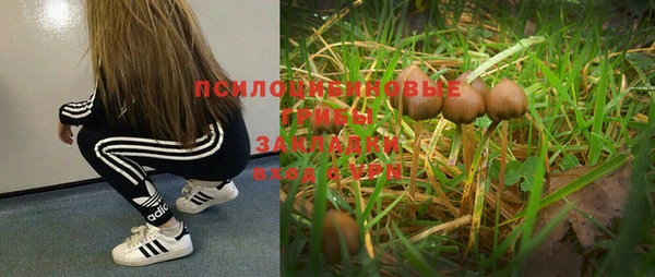 дживик Долгопрудный