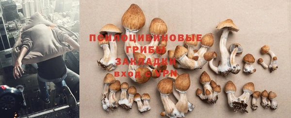 2c-b Надым